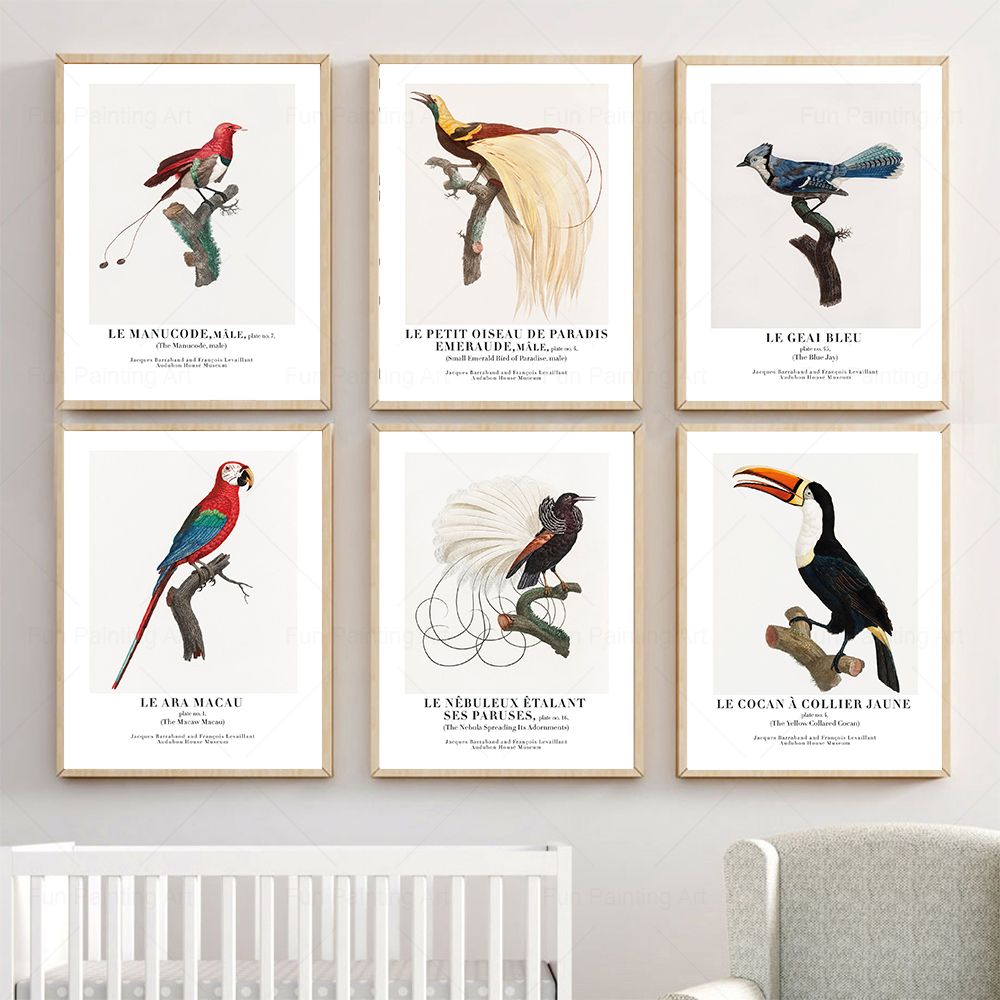 Vintage Paradise Bird Wall Art - Furniture Paradise & Hardware Ghaziabad ulasan dan harga