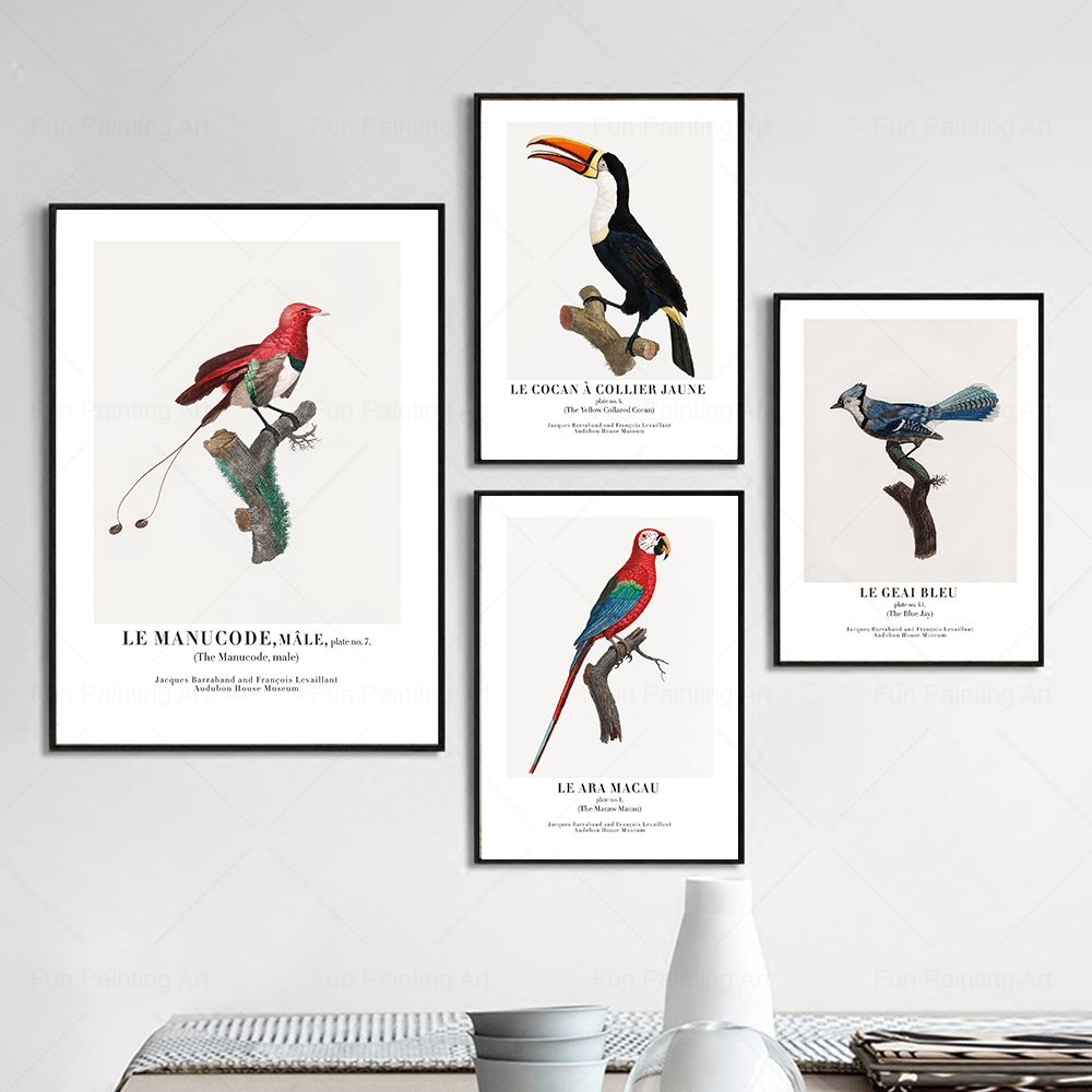 Vintage Paradise Bird Wall Art - Furniture Paradise & Hardware Ghaziabad ulasan dan harga