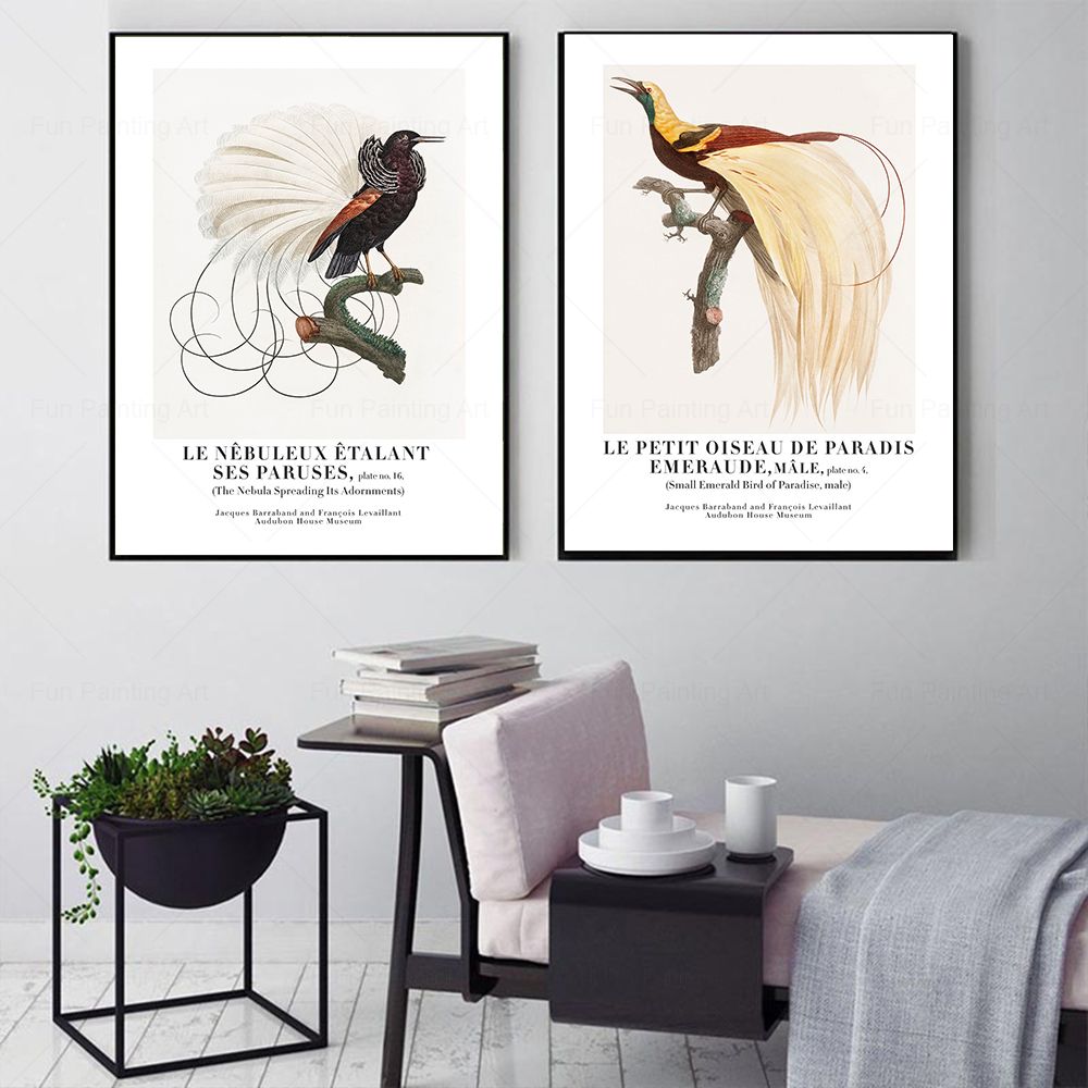 Vintage Paradise Bird Wall Art - Furniture Paradise & Hardware Ghaziabad ulasan dan harga
