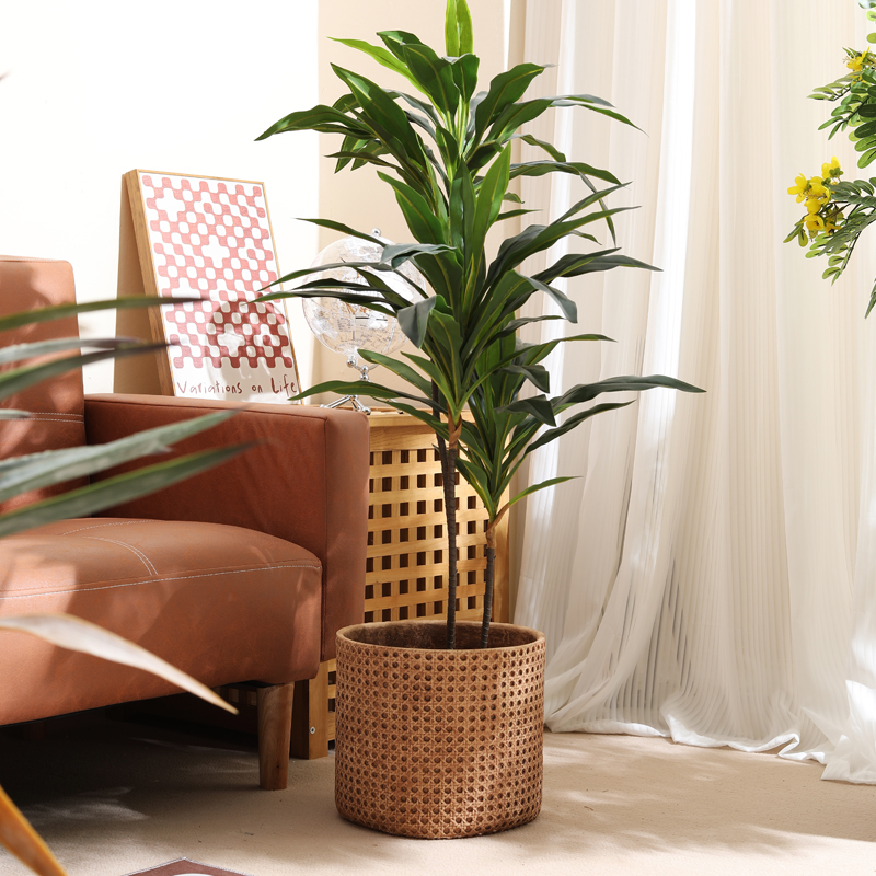 Furniture for small-sized apar - Furniture Paradise & Hardware Ghaziabad ulasan dan harga